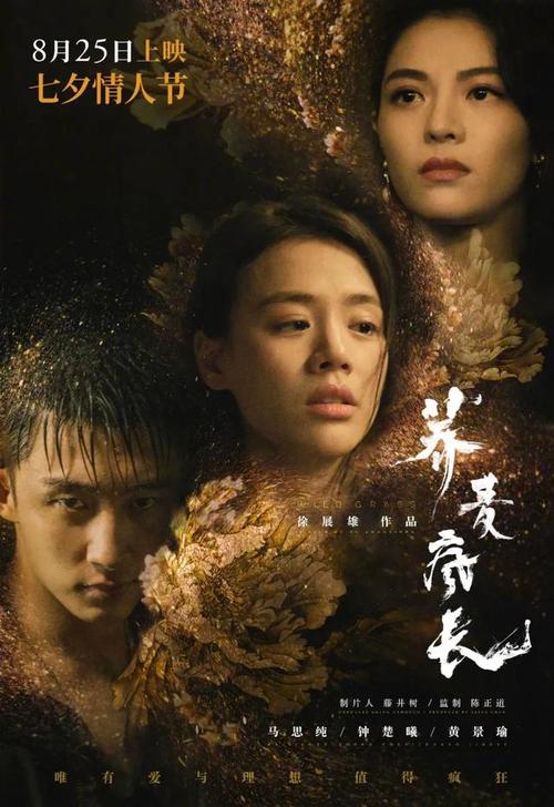 房产证过户在哪个部门办理